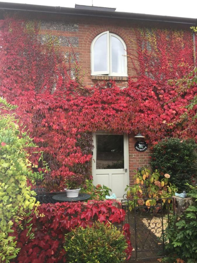 The Dovecote, Stoke Farthing Courtyard Villa Broad Chalke Luaran gambar